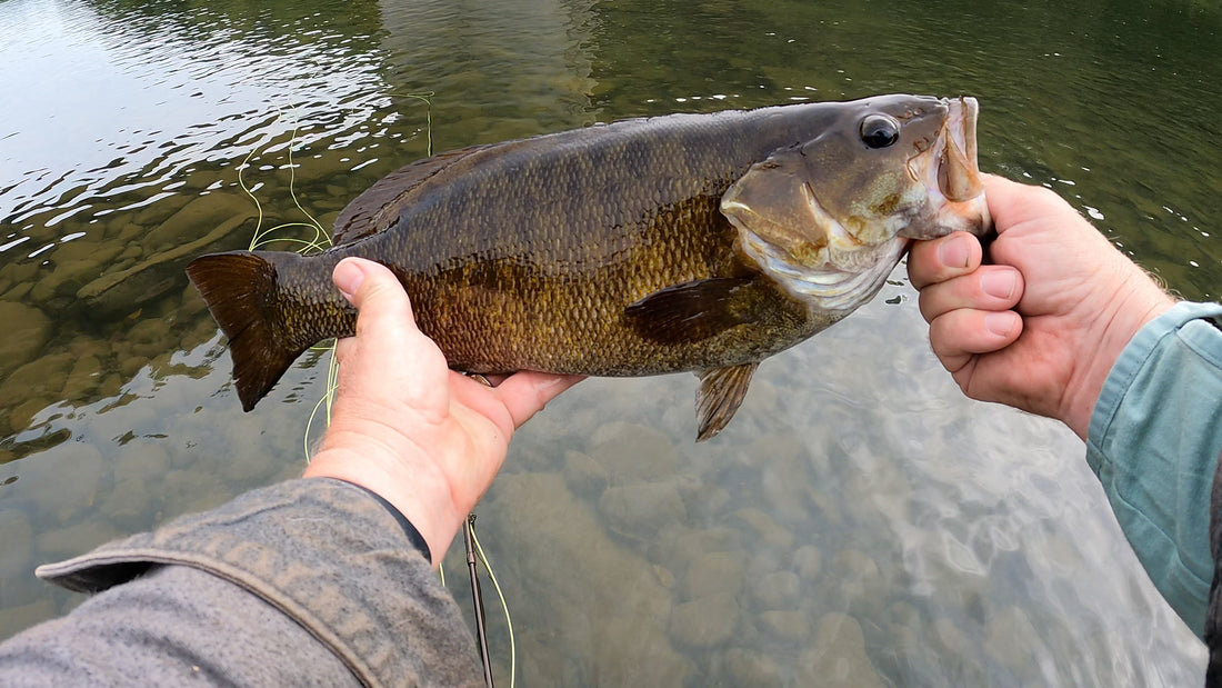 September Changes on the Water