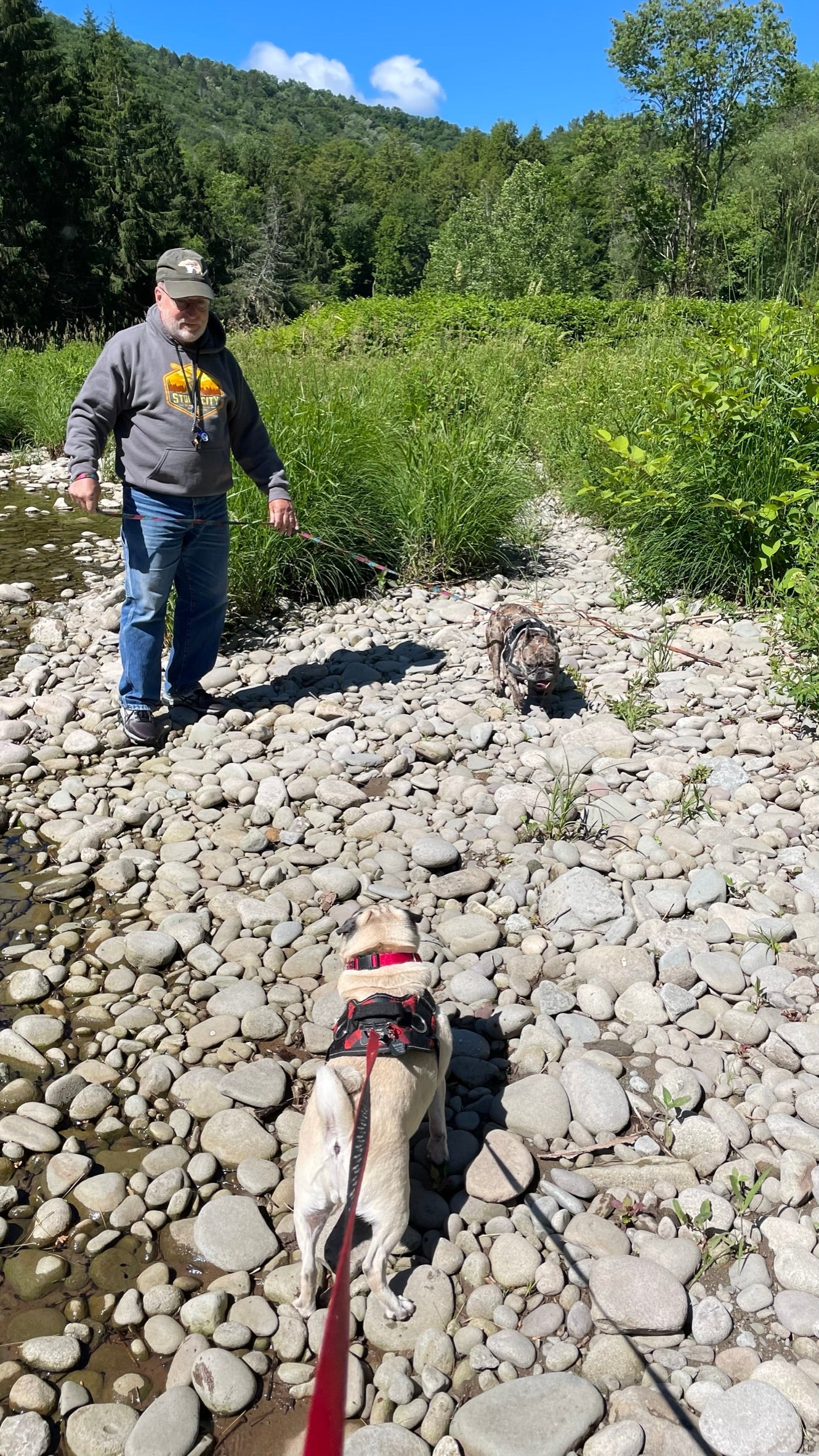 July Fly Fishing