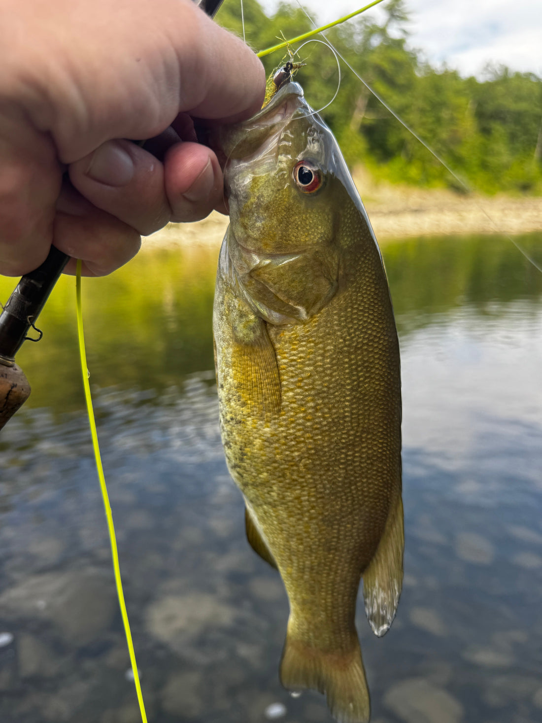 July Fly Fishing